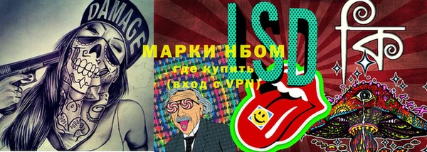 молекула духа Новодвинск