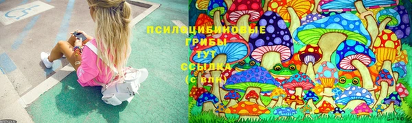 стафф Нея