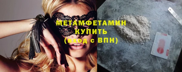 прущие грибы Видное