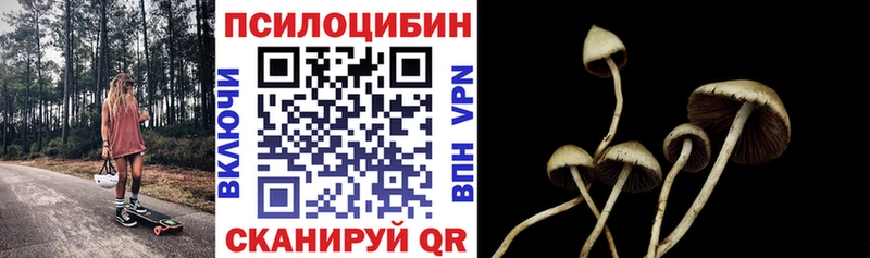 Псилоцибиновые грибы Magic Shrooms цена наркотик Лукоянов